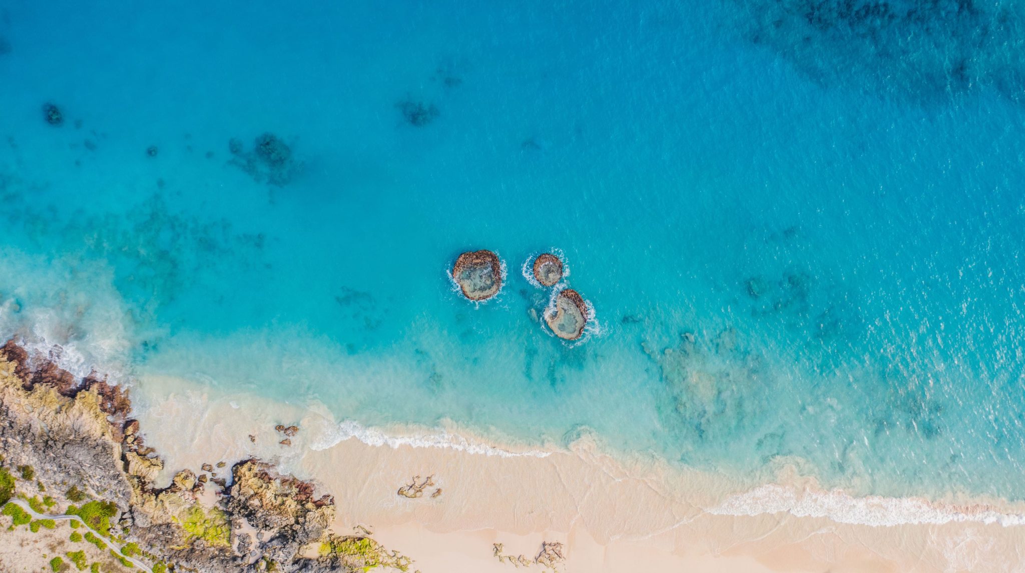 BDA to Climate Leaders to Bermuda for Climate Summit Bermuda