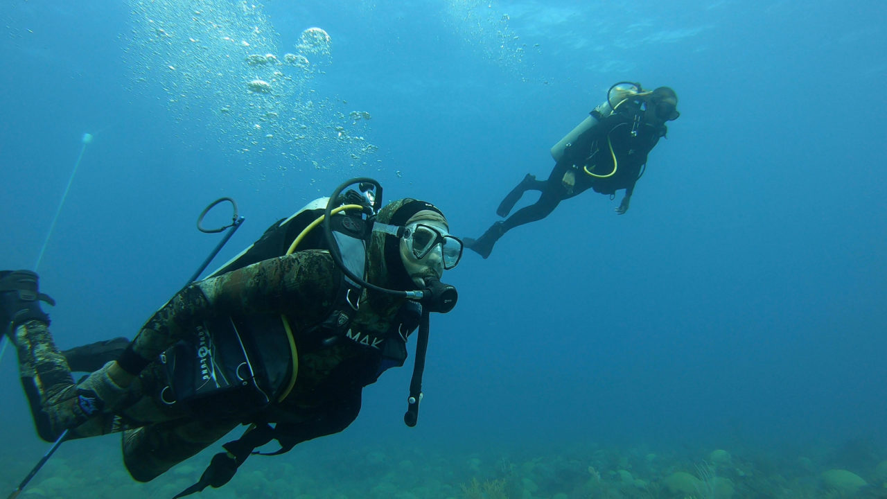 divers under water in Bermuda