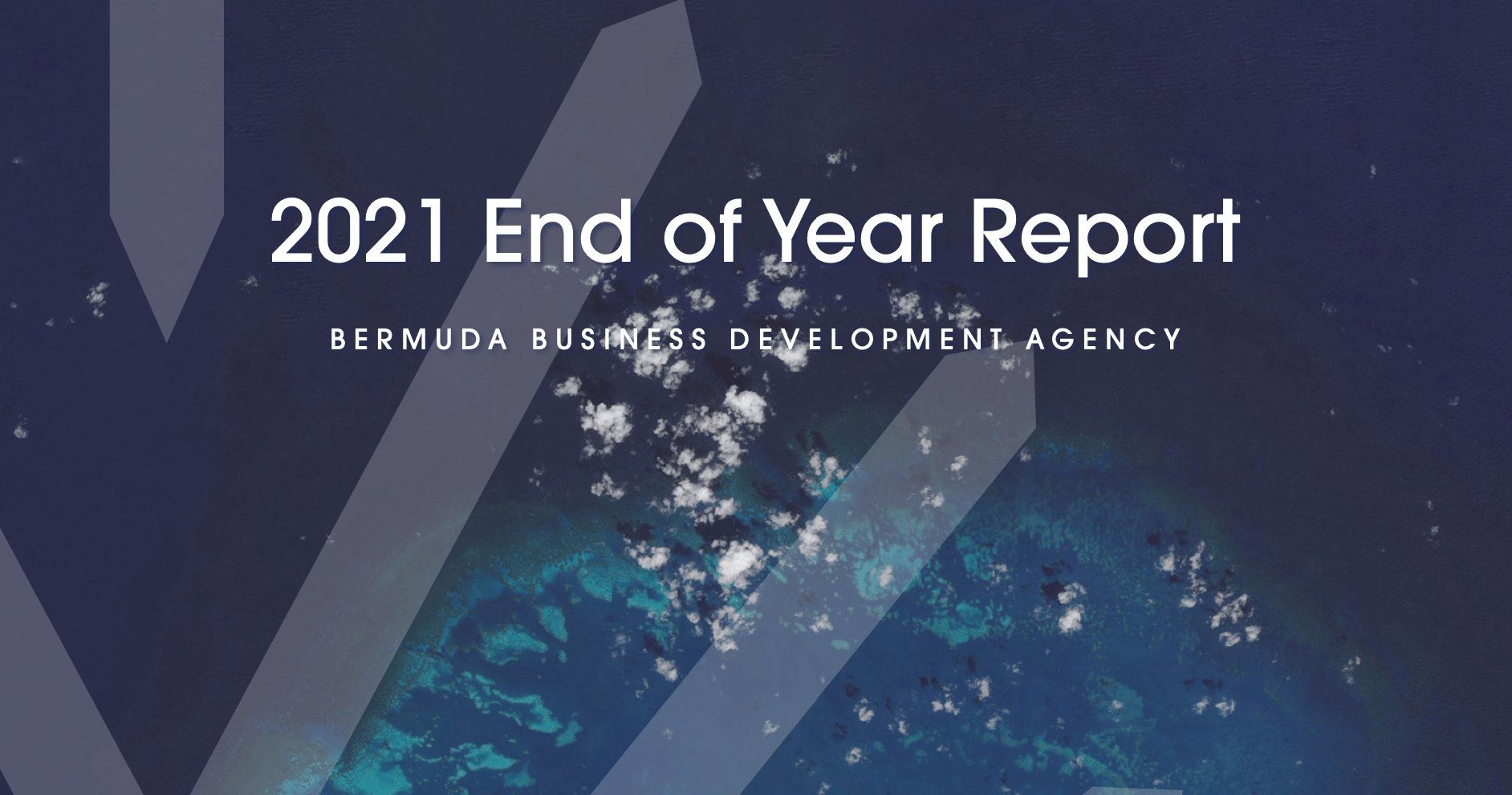 BDA Releases 2021 End of Year Report