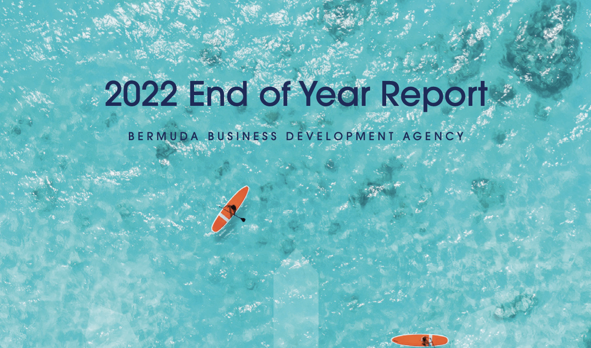 <strong>BDA Releases 2022 End of Year Report</strong>